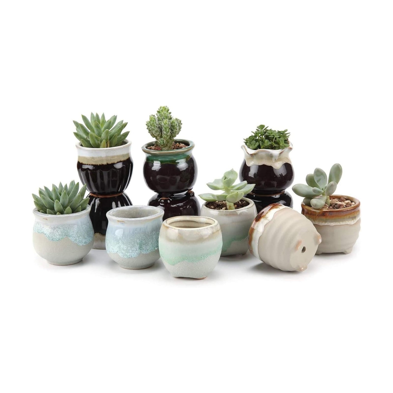 T4U Small Ceramic Succulent Pots with Drainage - Set of 12, Mini Pots for Plants, Home and Office Decor, Plant Lover