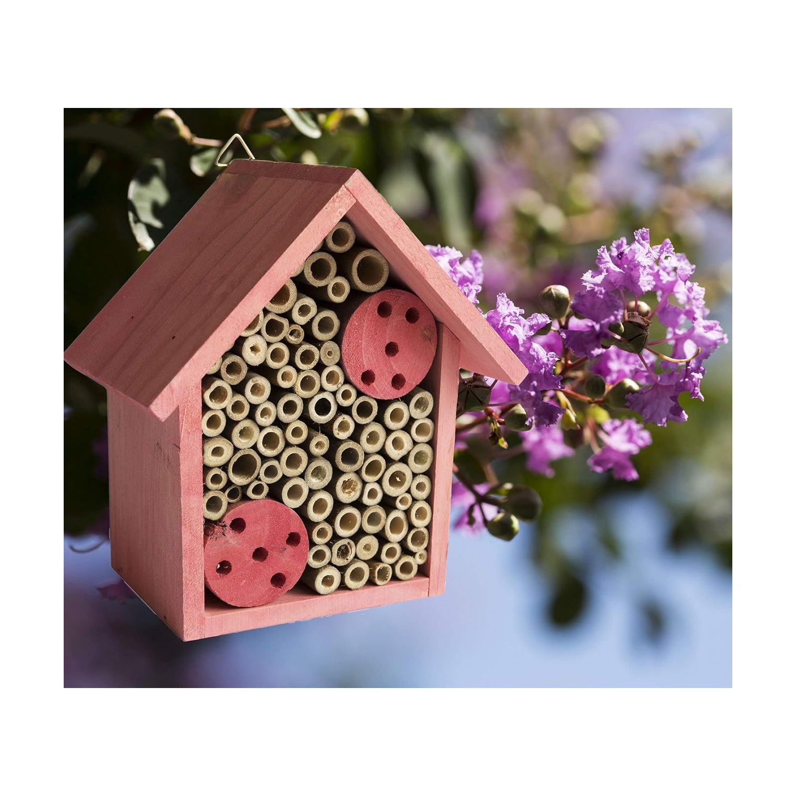 Cestari Mason Bee House Bamboo Tube Solitary Bee Hotel – 75 FSC‑Wood & Bamboo Tubes, 8 × 7.5 × 5 in, Rose Pink