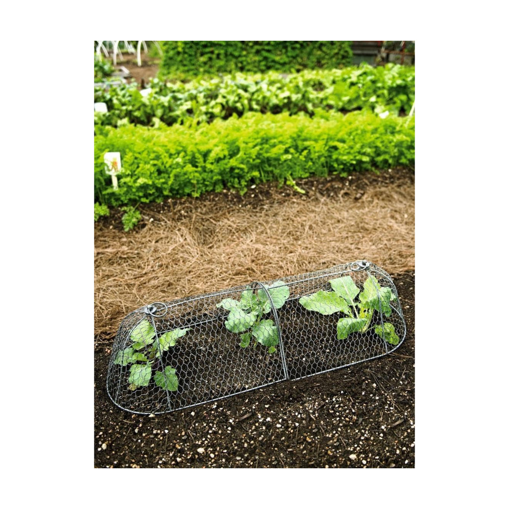 Gardener’s Supply Company Chicken Wire Cloche Garden Row Plant Protector | Sturdy Metal Protection for Seedlings and