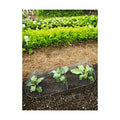 Gardener’s Supply Company Chicken Wire Cloche Garden Row Plant Protector | Sturdy Metal Protection for Seedlings and