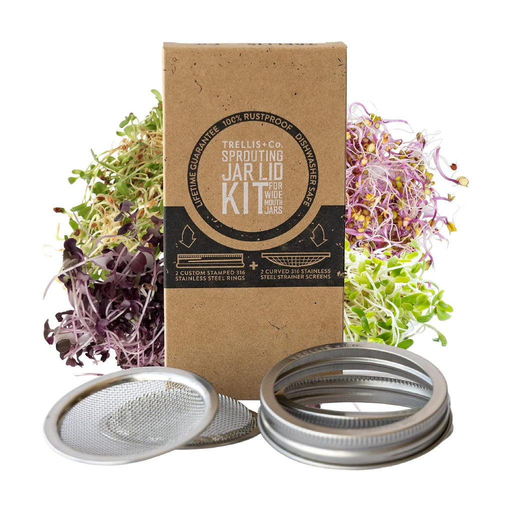 Trellis + Co.Stainless Steel Sprouting Kit, 2 Pack Rust Proof 316 Stainless | Curved Mesh, Fits Most Wide Mouth Mason