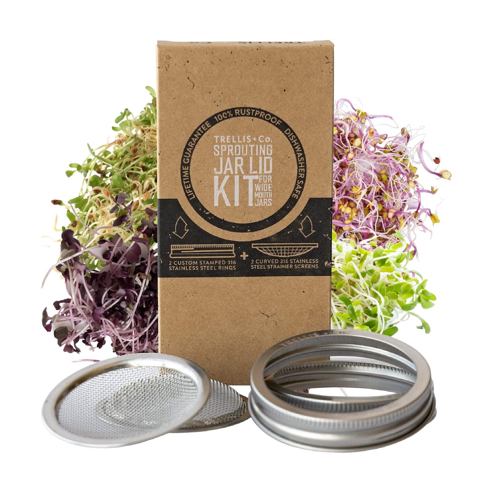 Trellis + Co.Stainless Steel Sprouting Kit, 2 Pack Rust Proof 316 Stainless | Curved Mesh, Fits Most Wide Mouth Mason