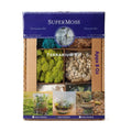 SuperMoss (90420) Beach Terrarium DIY Kit – Create Stunning Nature-Inspired Mini Gardens – Perfect for Home Decor