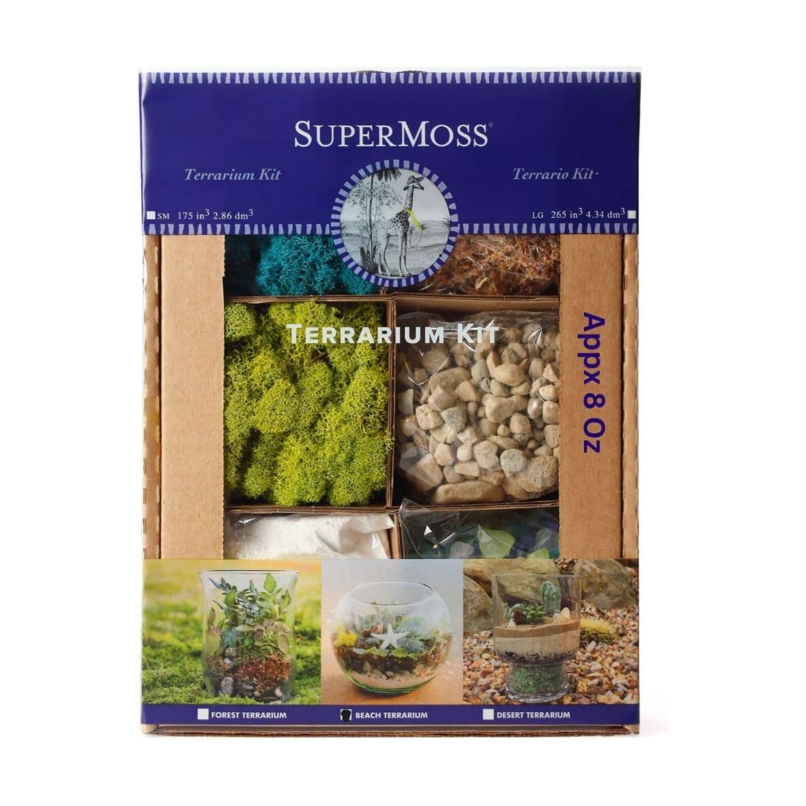 SuperMoss (90420) Beach Terrarium DIY Kit – Create Stunning Nature-Inspired Mini Gardens – Perfect for Home Decor