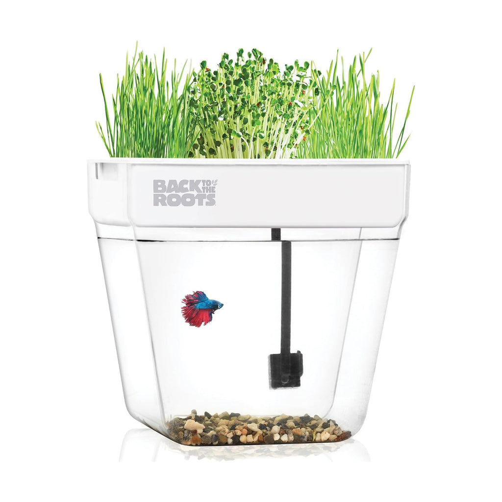 Back to the Roots Indoor Aquaponic Garden - 3 Gallon Self Watering, Mess-Free Planter and Self-Cleaning Fishtank for