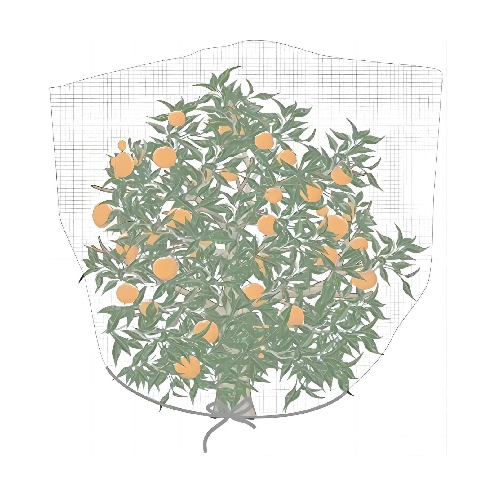 Agfabric Bird Netting 84" Hx84 W Garden Netting Insect Pest Barrier,Plant Cover Fruit Tree Netting Mesh Protection Bag