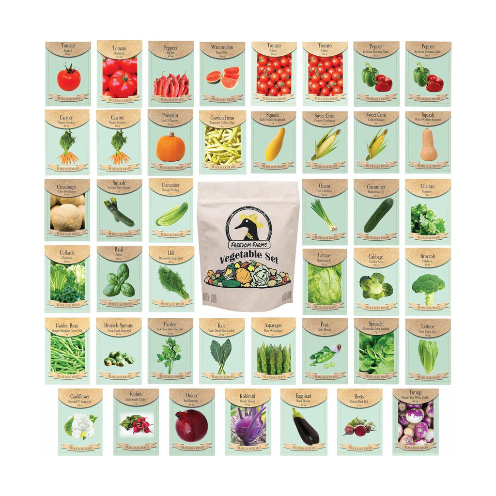 Set of 43 Assorted Vegetable & Herb Seed Packets - Over 10,000 Seeds! - Includes Mylar Storage Bag - Deluxe Garden Heirloom Seeds - 100% Non-GMO
