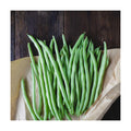 Mountain Valley Seed Co Blue Lake Bush Bean 274 Seeds - 5 Lbs - Non-GMO | Heirloom, Open Pollinated - Vegetable Garden