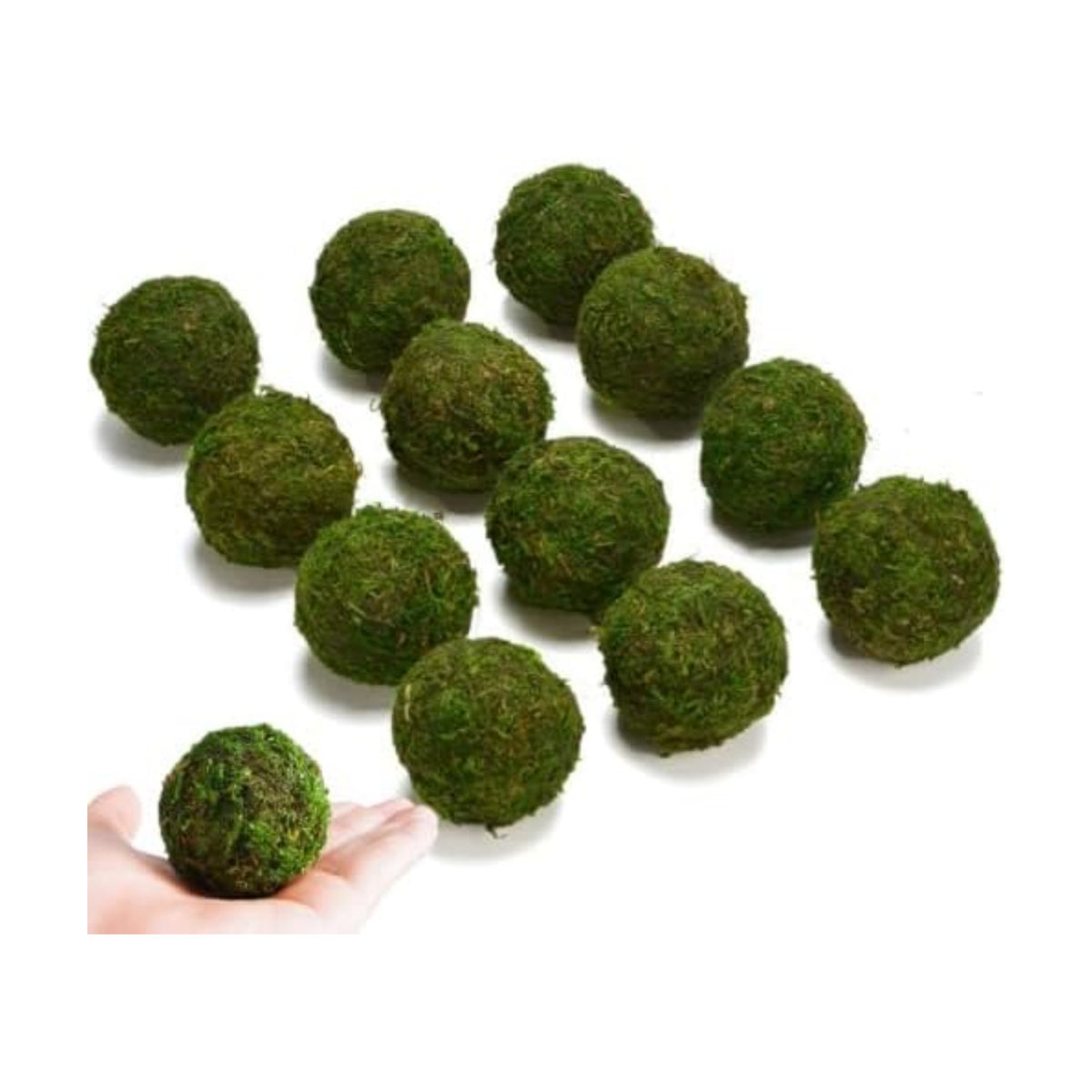 BYHER Natural Green Moss Decorative Ball,Handmade (2"-Set of 12)