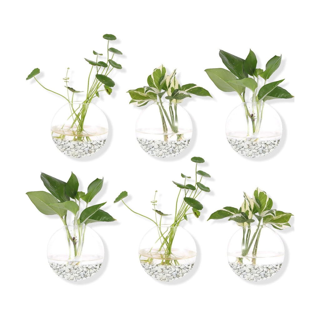Hanging Wall Planters Pack of 6 Glass Plant Pots Round Wall Vases for Flowers Hanging Propagation Station Glass Plant