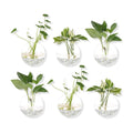 Hanging Wall Planters Pack of 6 Glass Plant Pots Round Wall Vases for Flowers Hanging Propagation Station Glass Plant