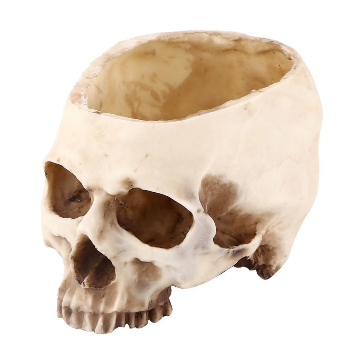 Large Multifunctional Skull Planter, Resin Storage Container