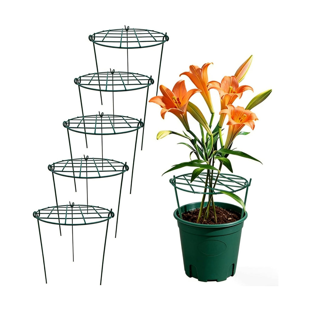 MTB Supply 5 Pack 16 x 24 inch Peony Cages,Grow Through Plant Support Stakes, Flower Support Hoops Heavy Plants Brace