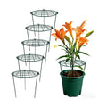 MTB Supply 5 Pack 16 x 24 inch Peony Cages,Grow Through Plant Support Stakes, Flower Support Hoops Heavy Plants Brace