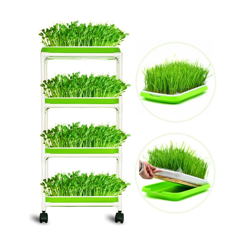 4 Layers Sprout Trays with Extra Strength Plastic Shelf Soil-Free Healthy Wheatgrass Seeds Grower & Storage Trays for