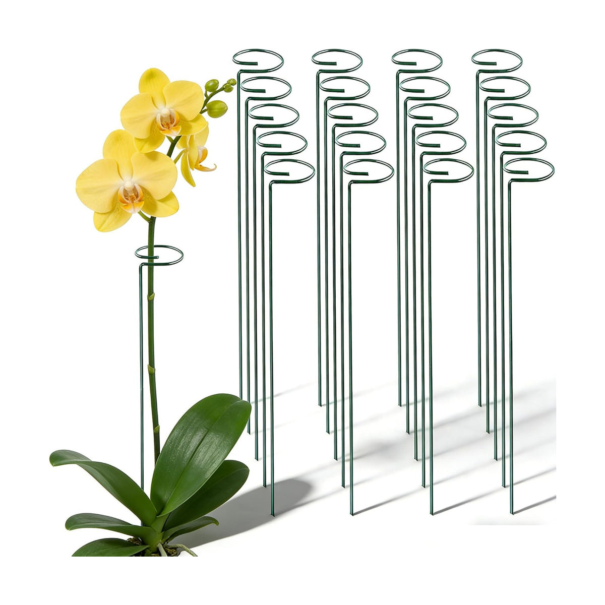 20 Pieces 24 inch Green Single Stem Plant Stakes Flower Support Rings,Gardening Planter Cages for Single Stem Flowers