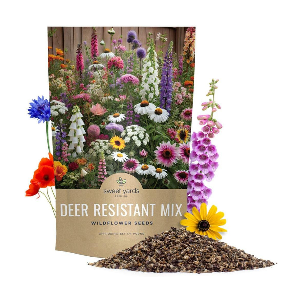Deer Resistant Wildflower Seed Mixture - Bulk 1/4 Pound Bag - Over 60,000 Deer Tolerant Seeds - Open Pollinated and Non