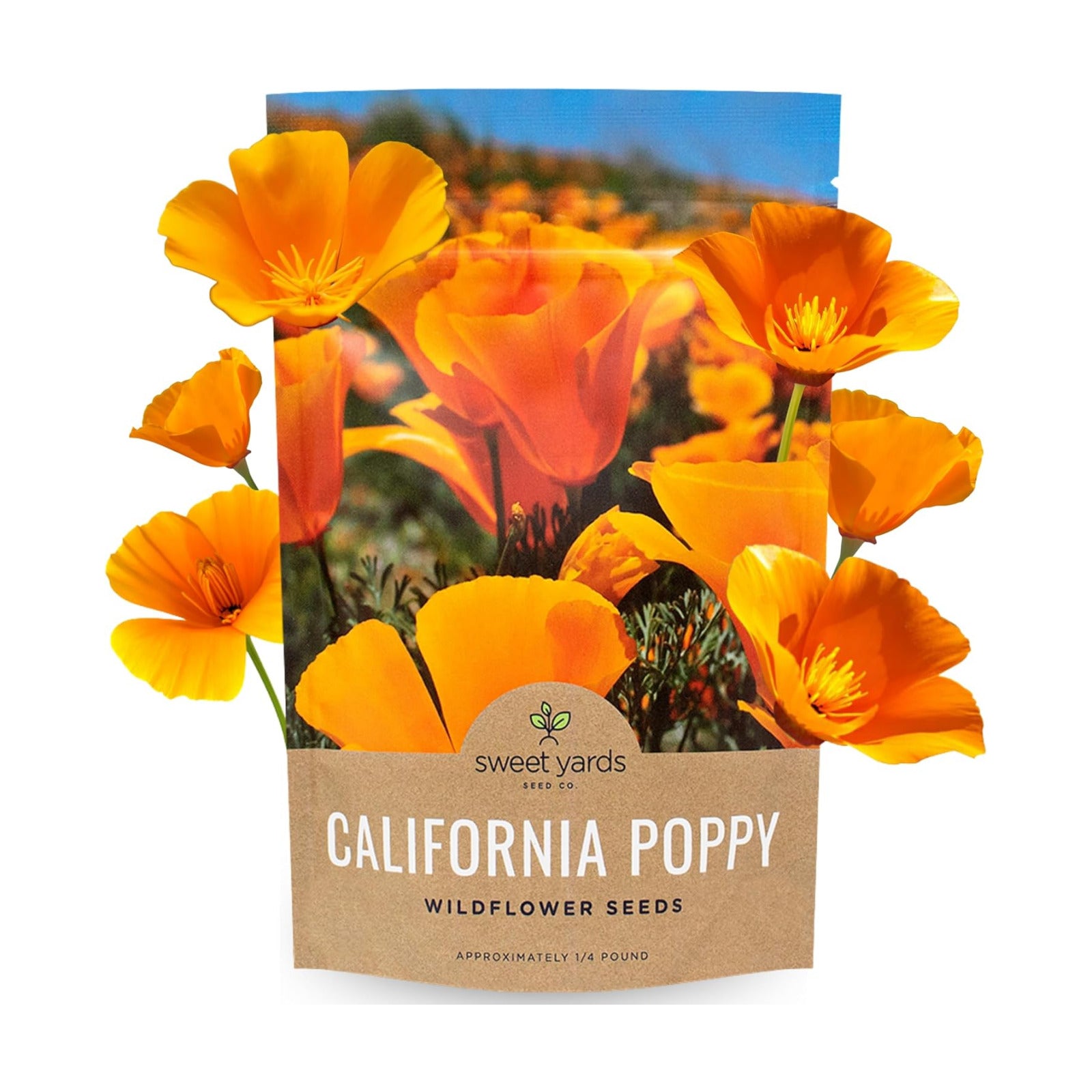 California Orange Poppy Wildflower Seeds - Bulk 1/4 Pound Bag - Over 80,000 Native Seeds - California State Flower!