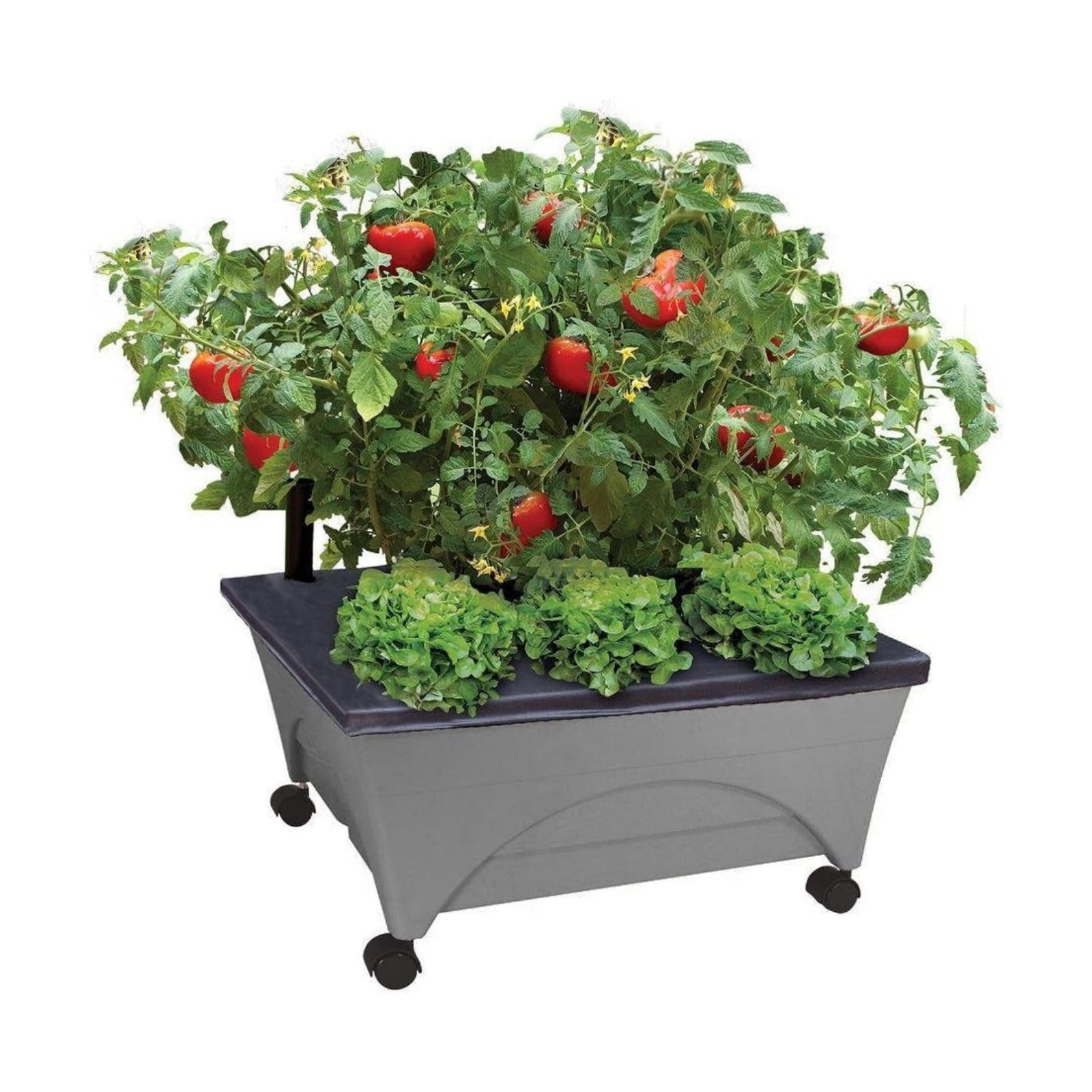 Emsco Group City Picker Raised Bed Grow Box – Self Watering and Improved Aeration – Mobile Unit with Casters - Slate