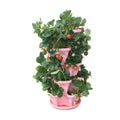 Mr. Stacky 5-Tier Pink Strawberry and Herb Garden Planter - Stackable Gardening Pots with 10 Inch Saucer