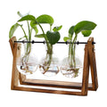 XXXFLOWER Plant Terrarium with Wooden Stand, Air Planter Bulb Glass Vase Metal Swivel Holder Retro Tabletop for Hydroponics Home Garden Office Decoration - 3 Bulb Vase