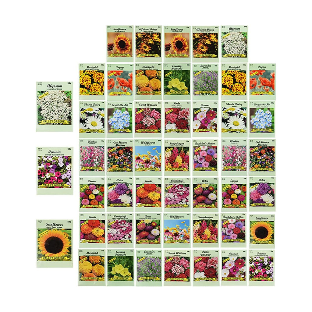 Set of 50 Assorted Flower Seed Packets! Flower Seeds in Bulk - 10+ Varieties Available!