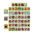 Set of 50 Assorted Flower Seed Packets! Flower Seeds in Bulk - 10+ Varieties Available!
