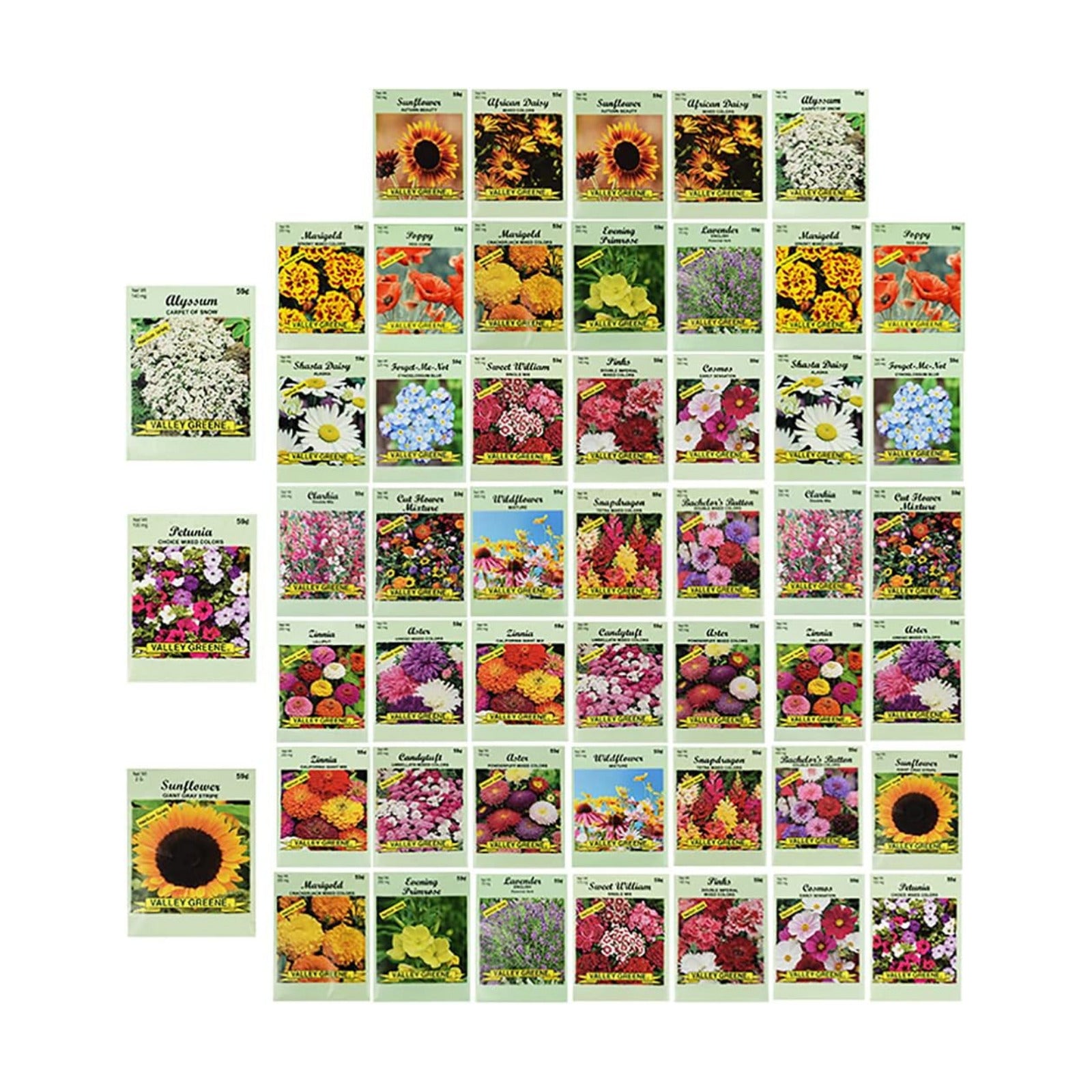 Set of 50 Assorted Flower Seed Packets! Flower Seeds in Bulk - 10+ Varieties Available!