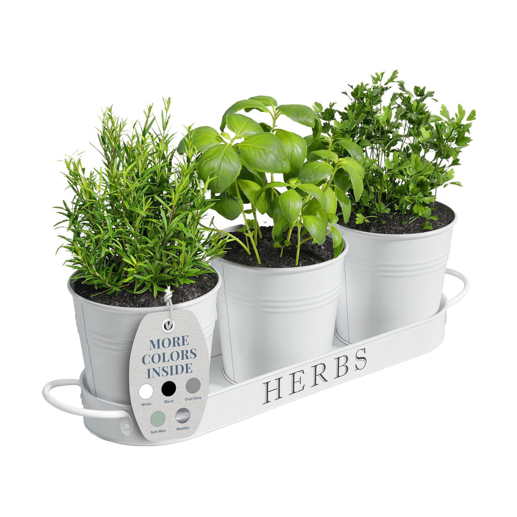 Barnyard Designs Indoor Herb Garden Planter Pots with Tray Set/3 (White)