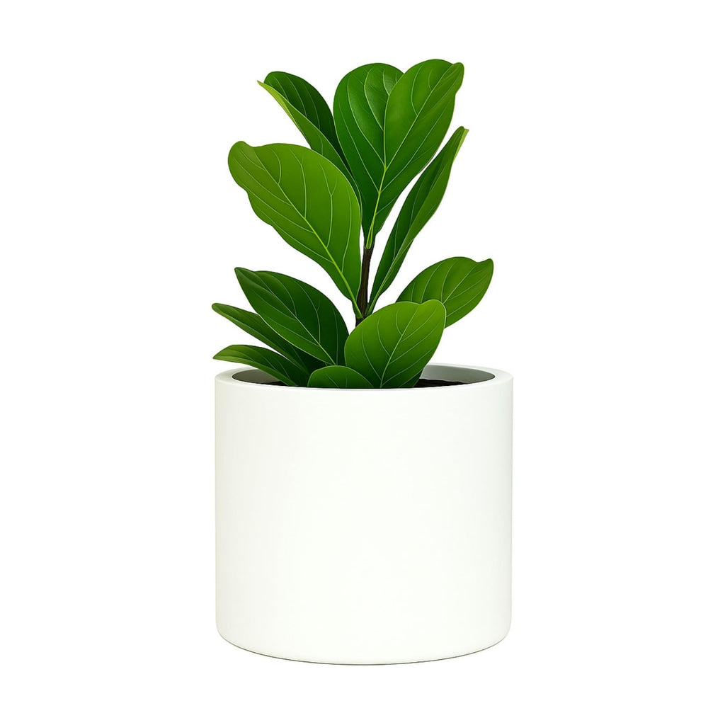 Fox & Fern Large Planter for Indoor or Outdoor, Matte White, 8 Inch | UV & Frost Resistant, 70% Lighter than Ceramic