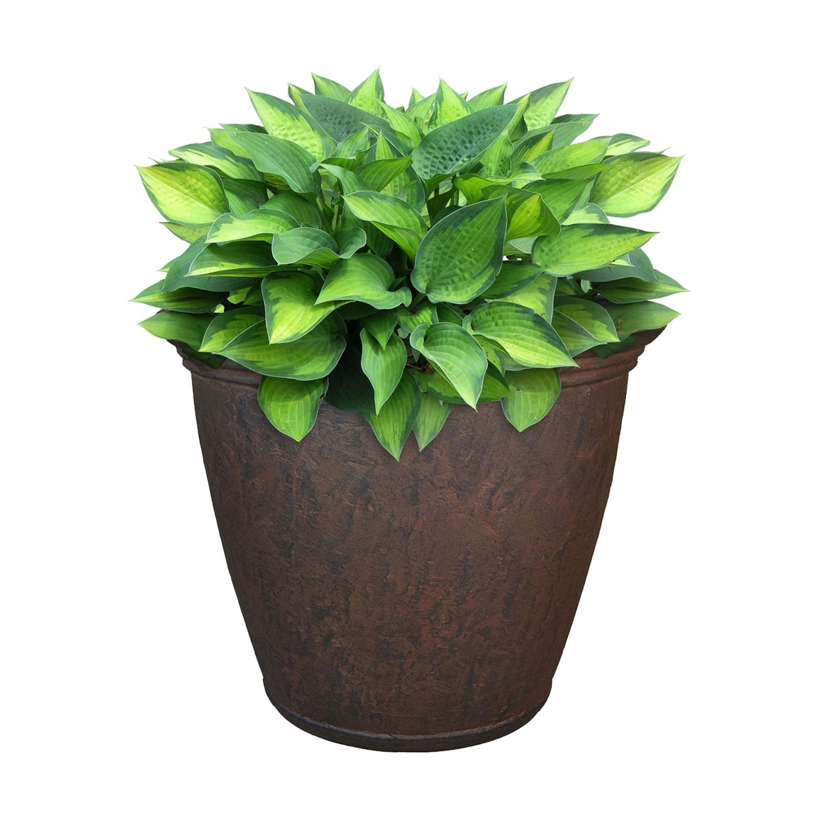 Sunnydaze Anjelica 15.25'' Large Plastic Planter Pot for Plants, Rust | 5.1-Gallon Capacity, Large Plastic Planter for