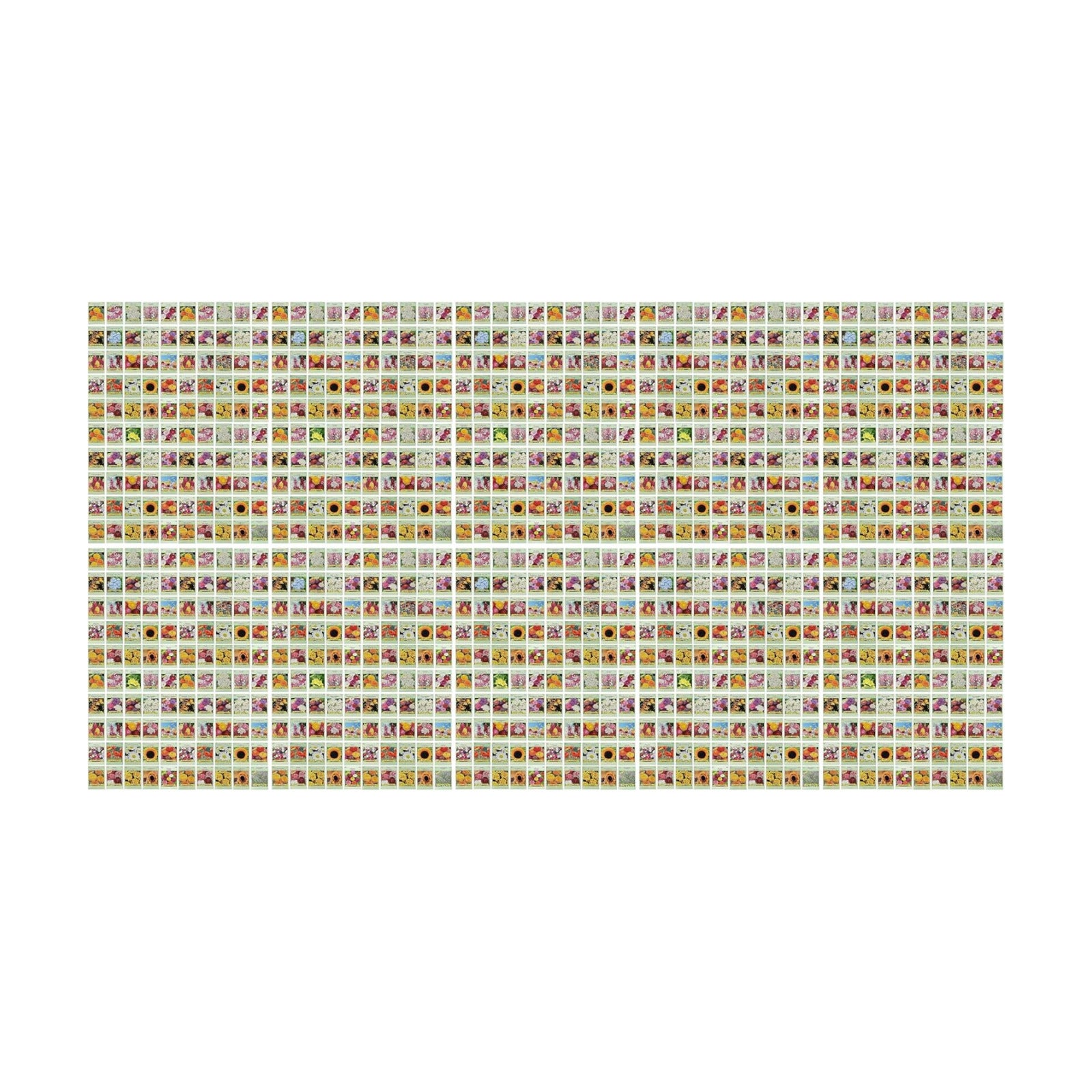 Set of 1000 Assorted Valley Green Flower Seed Packets! Flower Seeds in Bulk - 20+ Varieties Available! (1000)