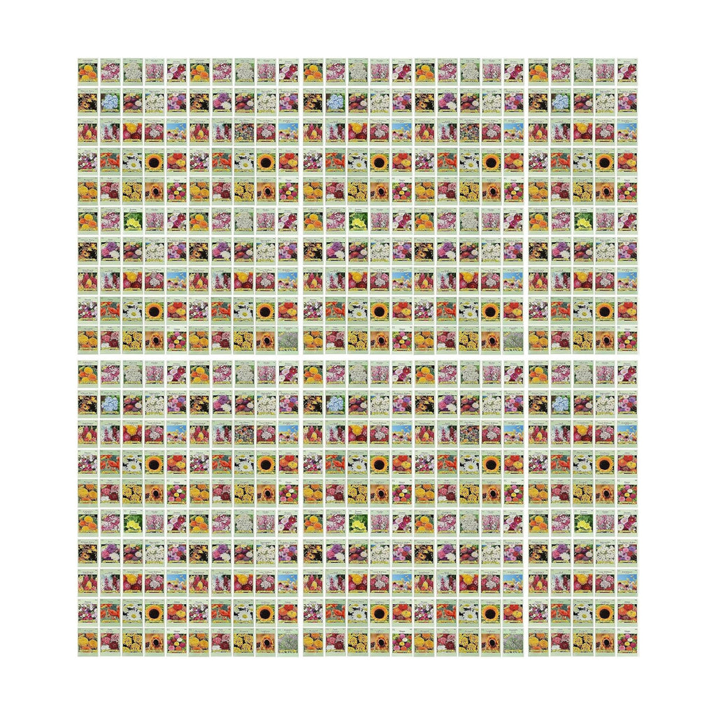 Set of 500 Assorted Flower Seed Packets! Flower Seeds in Bulk - 20+ Varieties Available! (500)