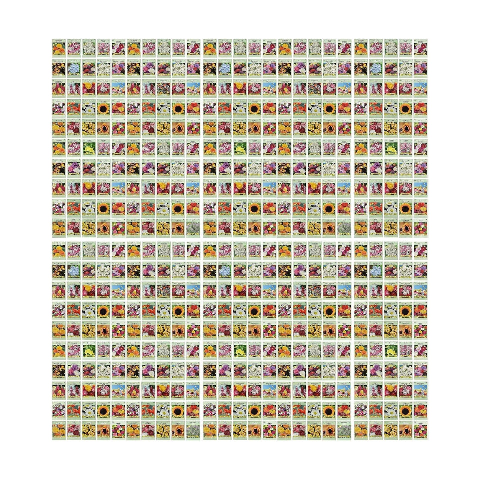 Set of 500 Assorted Flower Seed Packets! Flower Seeds in Bulk - 20+ Varieties Available! (500)