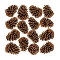 BESTTOYHOME 15 PCS Natural Pinecones Medium Pine Cones Ornaments Real Preserved Pine Cones - Dried -3" - 4" Tall for Guest Seating Place Card Holders or Wedding Guest Favors Christmas Winter Xmas