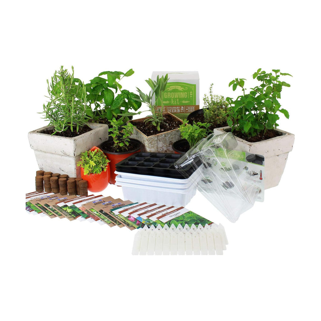 Mountain Valley Seed Co Culinary Indoor Herb Garden Starter Kit Herb Seeds | 18 Non-GMO Varieties Grow Cooking Herbs &