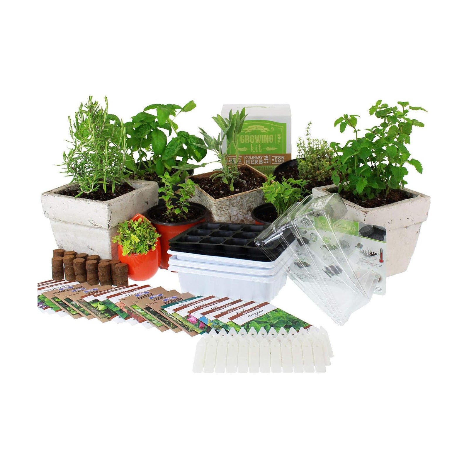Mountain Valley Seed Co Culinary Indoor Herb Garden Starter Kit Herb Seeds | 18 Non-GMO Varieties Grow Cooking Herbs &