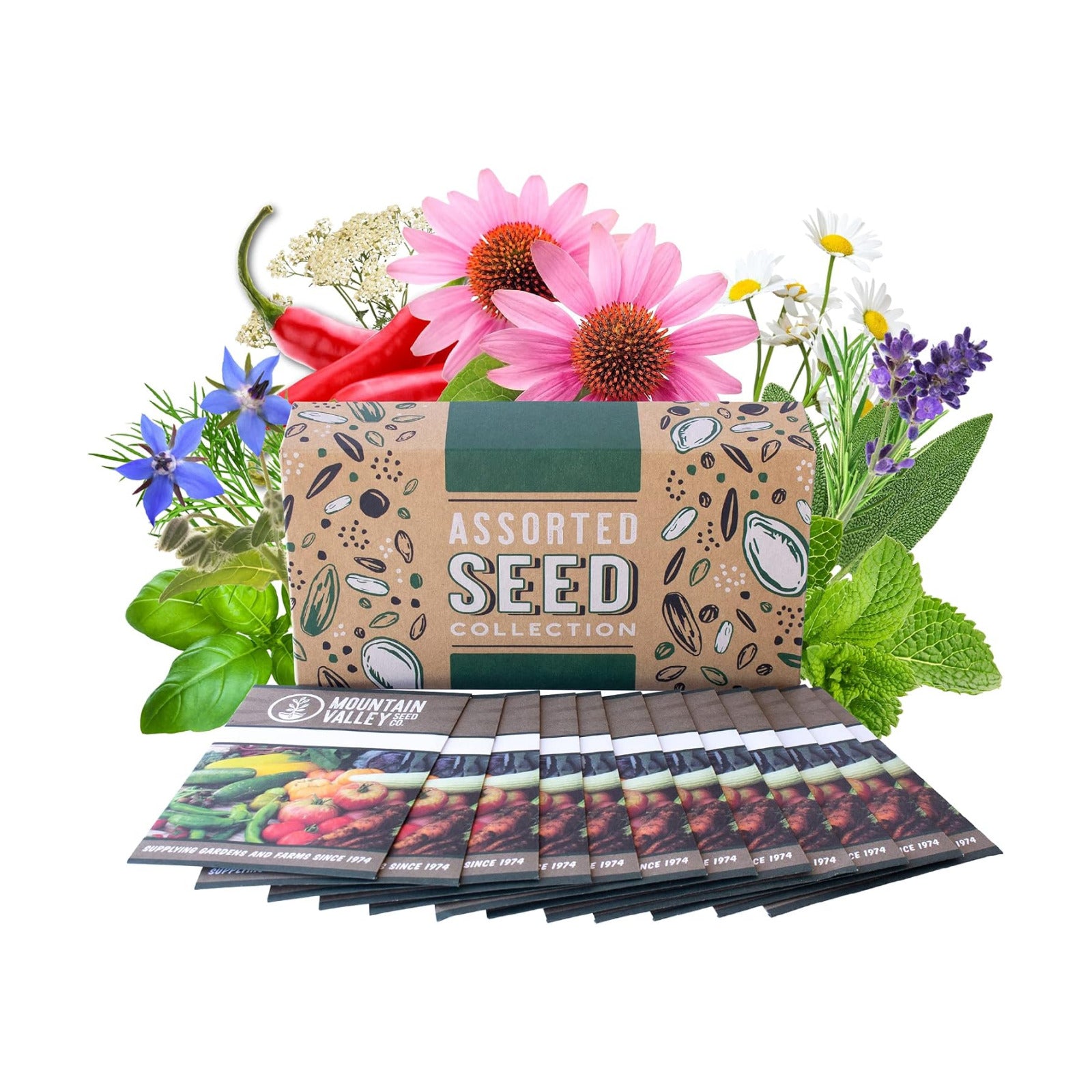 Mountain Valley Seed Co Medicinal & Herbal Tea Garden Seed Collection | Deluxe Assortment 12 Non-GMO Herb Seed Packets