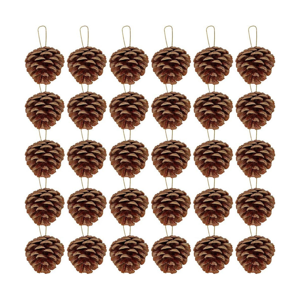 Supla 30 Pcs Christmas Hanging Real Preserved Pine Cones Ornaments 2"-3" Tall Christmas Tree Hanging Pinecone Ornaments
