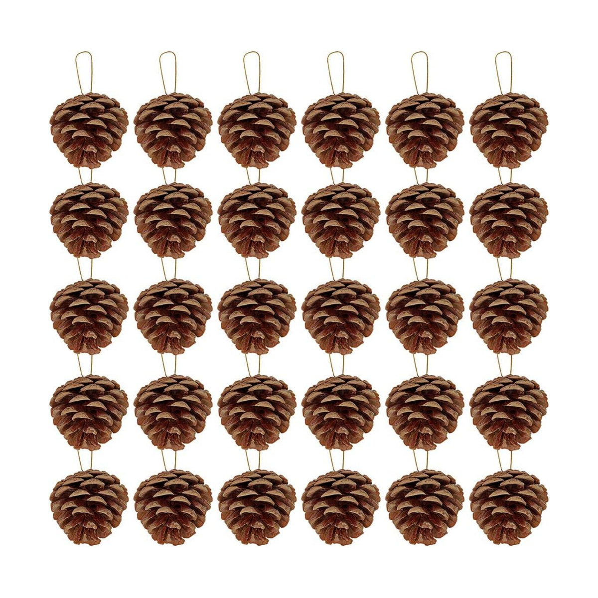 Supla 30 Pcs Christmas Hanging Real Preserved Pine Cones Ornaments 2"-3" Tall Christmas Tree Hanging Pinecone Ornaments