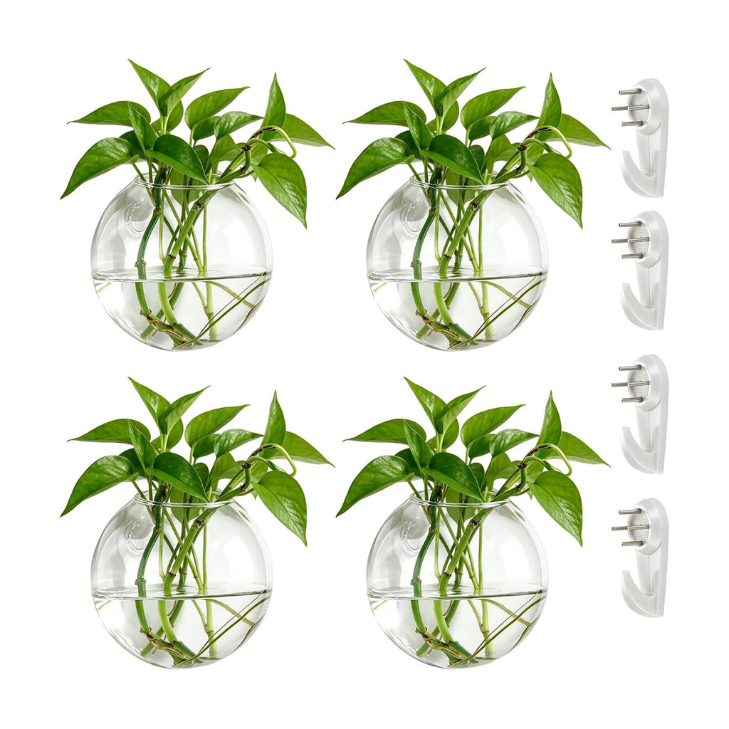NUPTIO Glass Wall Hanging Planters: Propagation Station for Plants, 4 Pcs | Wall Mount Clear Vase, Terrarium for