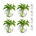 NUPTIO Glass Wall Hanging Planters: Propagation Station for Plants, 4 Pcs | Wall Mount Clear Vase, Terrarium for