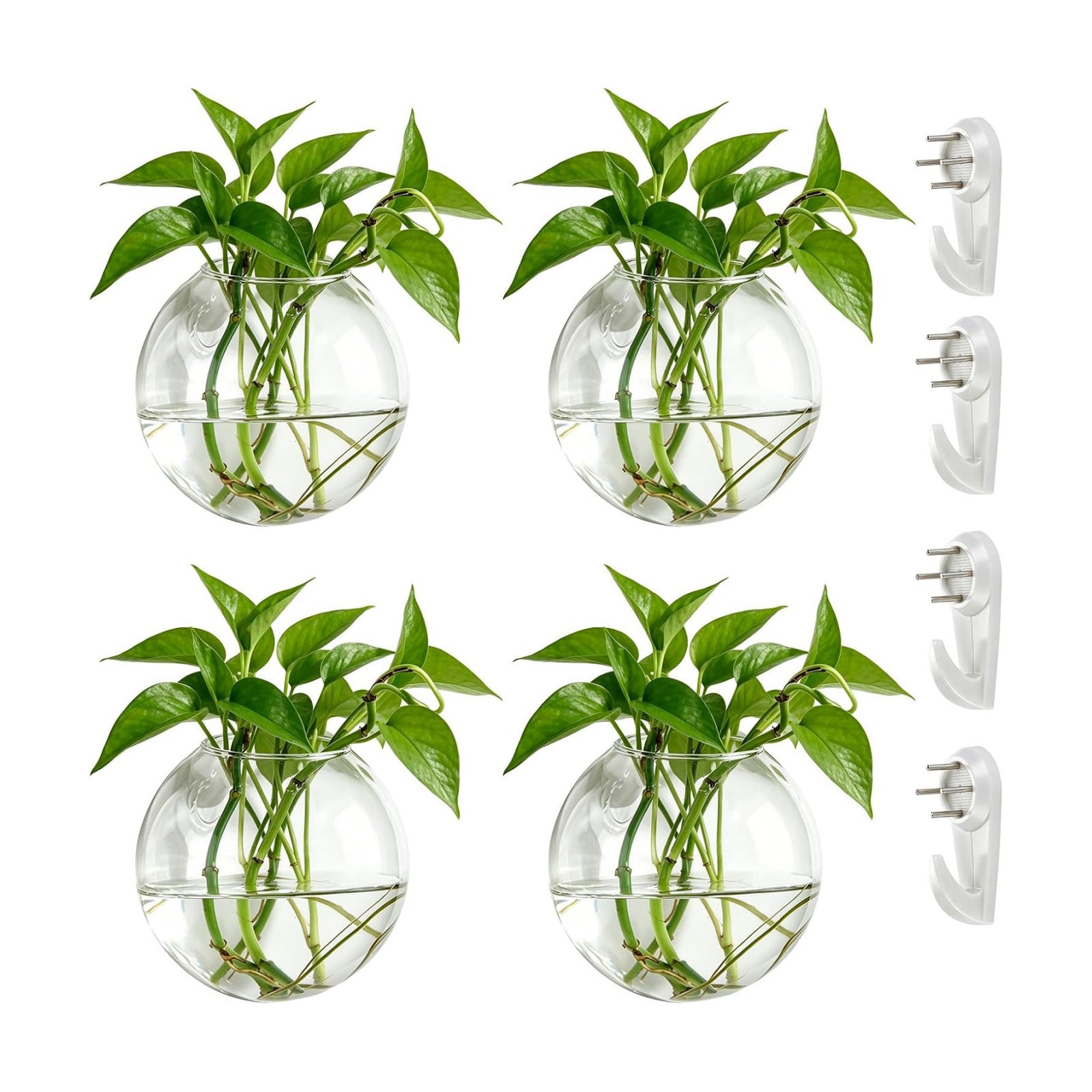 NUPTIO Glass Wall Hanging Planters: Propagation Station for Plants, 4 Pcs | Wall Mount Clear Vase, Terrarium for