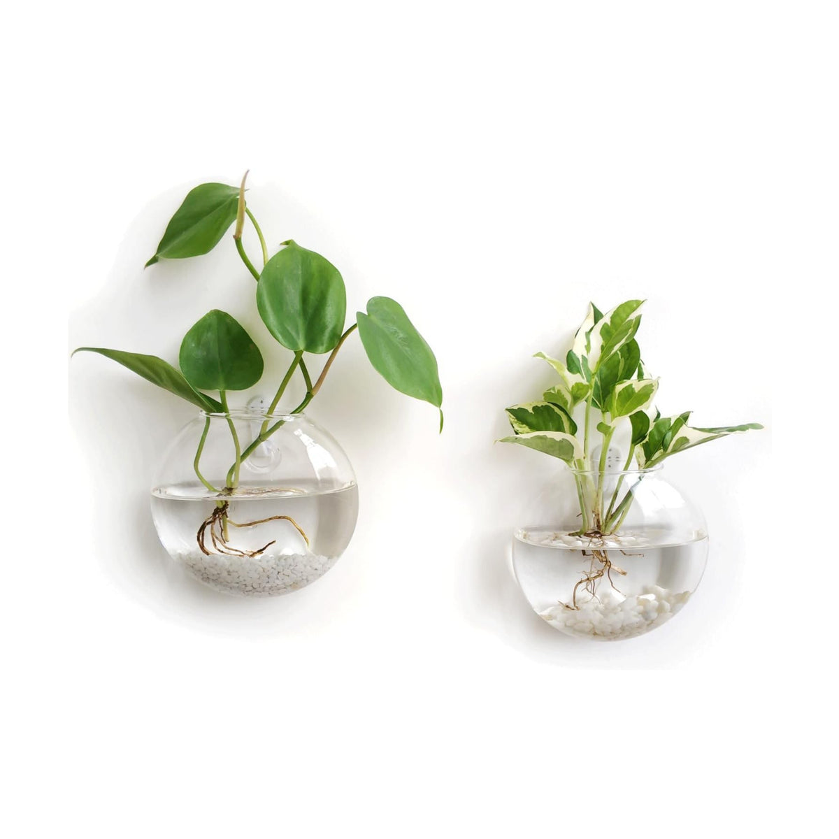 Mkono Wall Propagation Planters, 2 Pack Oblate Hanging Plant Holder Vase