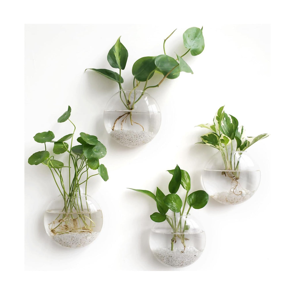 Mkono Wall Propagation Planters, 4 Pack Oblate Hanging Plant Holder Vase | Glass Terrariums Station, Hydroponic Indoor