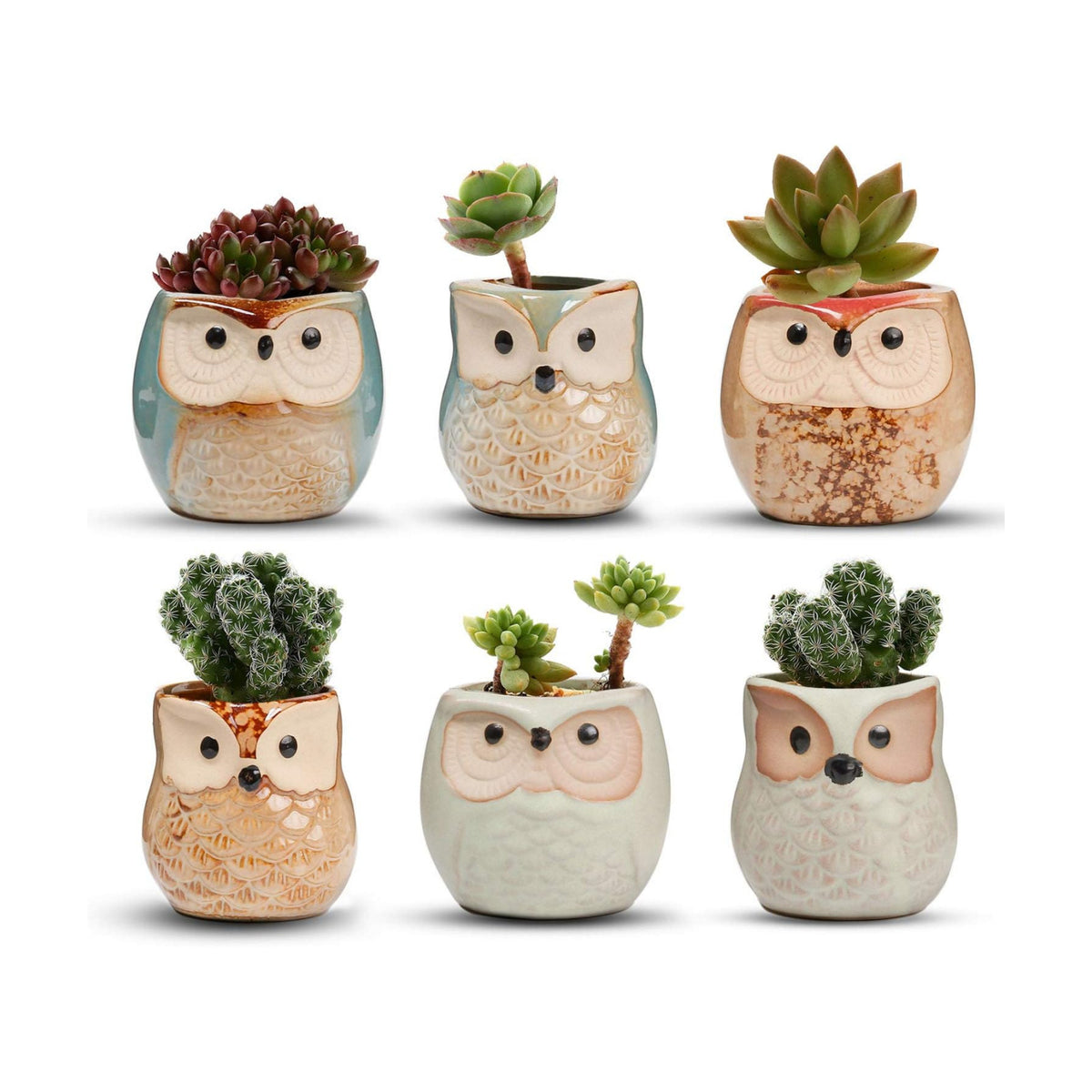 T4U Owl Succulent Pots, Mini Ceramic Gift Pots with Drainage, Retro 6 Pack