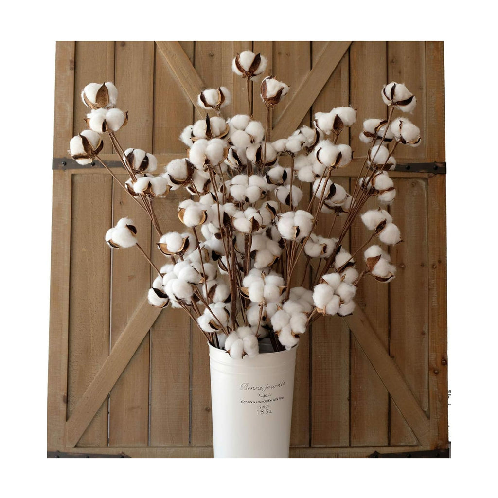 idyllic Cotton Stems Decor Branches, Cotton Flowers Plants for Decorations, Dried Flowers for Vase, 6 Pcs-31 Inches Tall - 12 Bolls per Stem