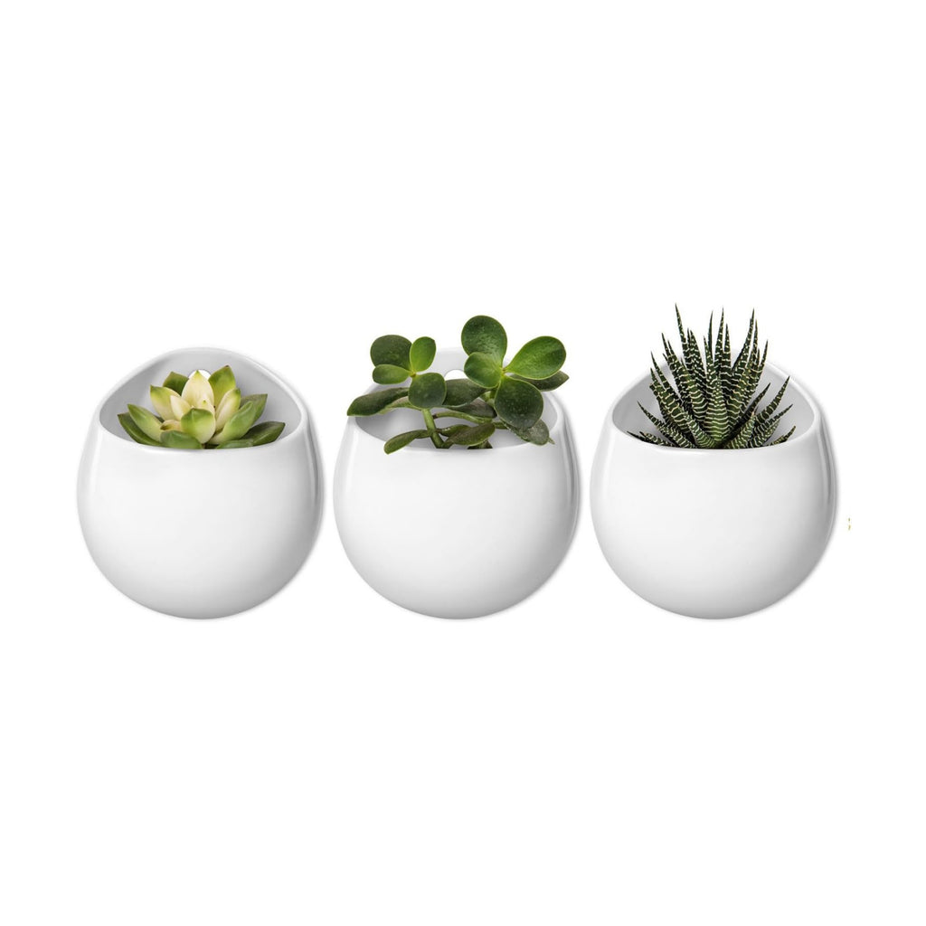 Mkono Ceramic Wall Planter for Indoor Plants 4 Inch Hanging Pot, Set of 3 | Succulents Air Plant Holder, White Round