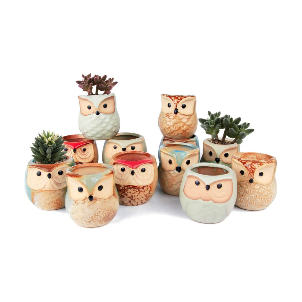 T4U Owl Succulent Pots, Mini Ceramic Gift Planter Set with Drainage 12 Pack | Cute owl design containers, for live