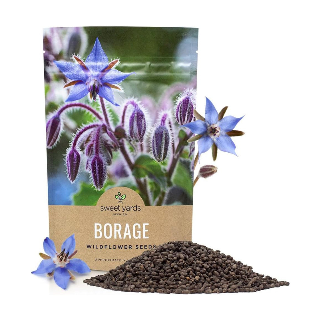Borage Seeds – Bulk Quarter Pound Bag – Over 5,000 Open Pollinated Non-GMO Wildflower Seeds – Borago officianalis